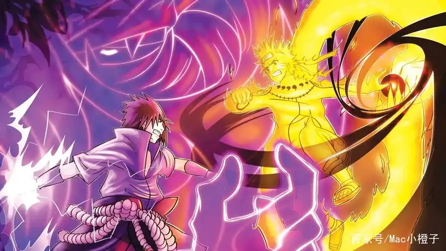 海贼王最新情报